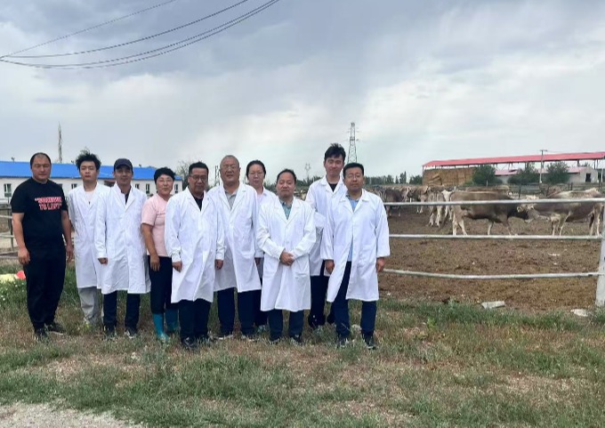 国家奶牛产业技术体系宁夏大学团队赴新疆开展奶牛种质资源评价工作