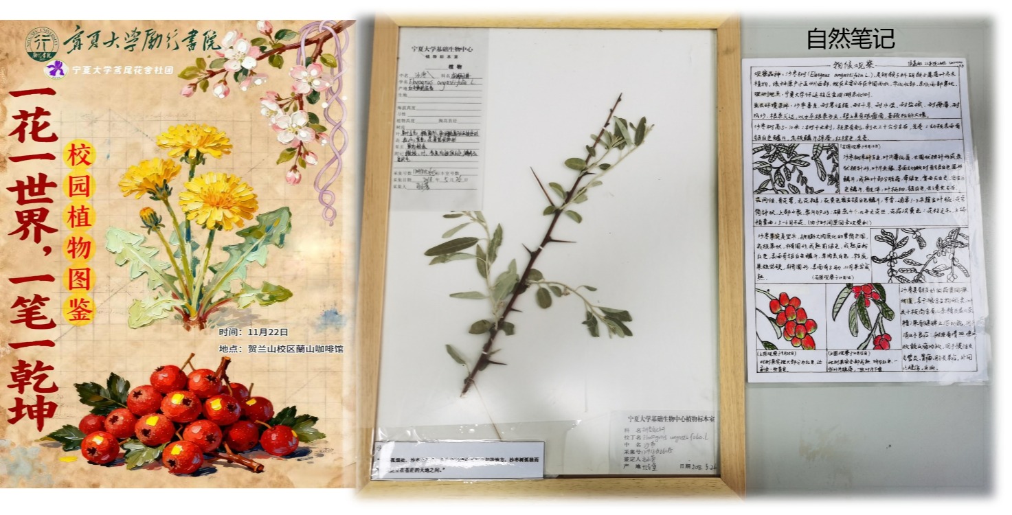 定格方寸世界，书写心中乾坤｜“一花一世界，一笔一乾坤”主题标本展回顾