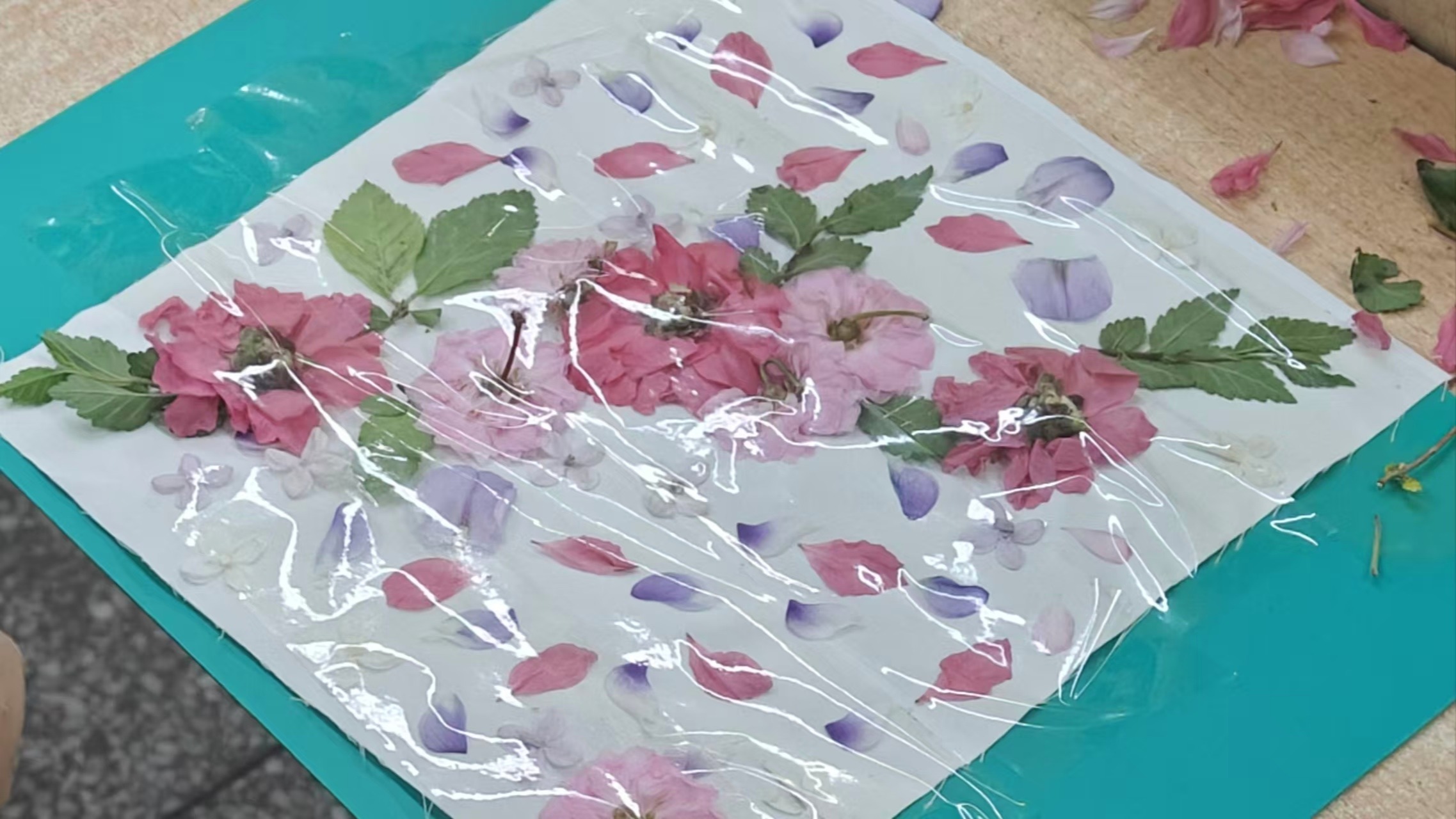 叶叶映初心，拓印颂华章|励行书院、生命科学学院与鸢尾花舍社团联合举办方巾植物拓印红色主题活动