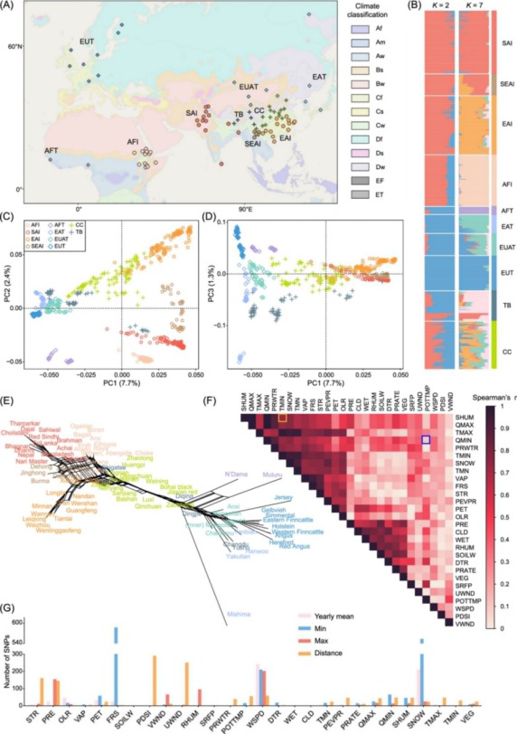 宁夏大学马云教授团队联合西北农林科技大学国家肉牛牦牛产业技术体系岗位科学家雷初朝教授团队解析气候因素驱动旧大陆家牛局部适应的遗传机制