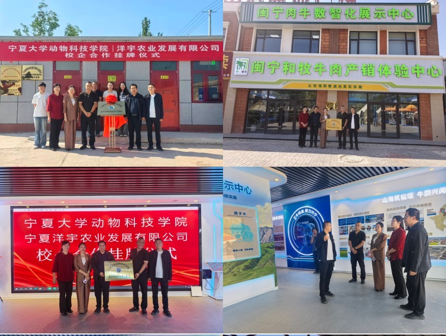 校企聚合力——赋能永宁县肉牛产业高质量发展