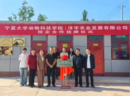 校企聚合力——赋能永宁县肉牛产业高质量发展