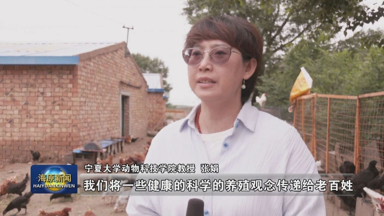 两化一振兴 海原新答卷 | “鸡舍里的课堂”为庭院经济添动力