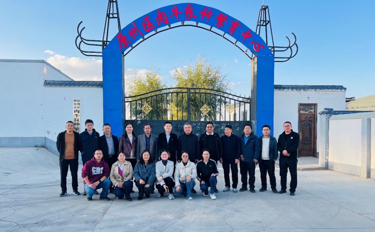 宁夏优势特色牛产业科技创新团队开展牛产业调研和技术指导