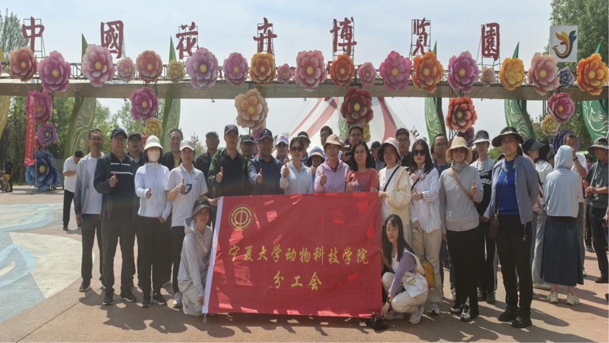 健步湿地公园，共筑团队活力