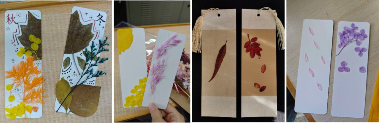 “植语藏秋，标本凝时：我们这样留住了宁大的秋天”